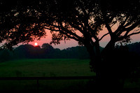 landscape002