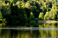 landscape005