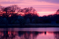 landscape_017