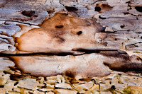 landscape_016