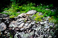 landscape_020